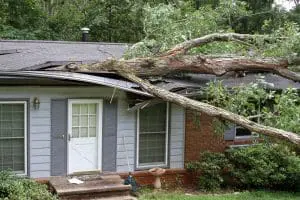 Tree fallen on house roof causing damage.