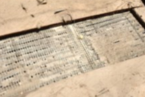 Closeup of a rusted metal grate.